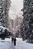 Images/Travel/Yosemite/Yosemite_Falls_Snowstorm.jpg